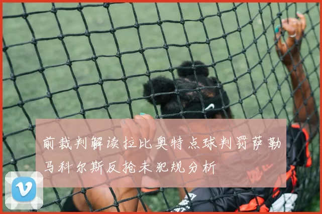 前裁判解读拉比奥特点球判罚萨勒马科尔斯反抢未犯规分析